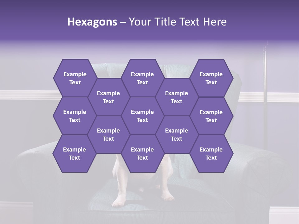 Dog Pug Pet PowerPoint Template