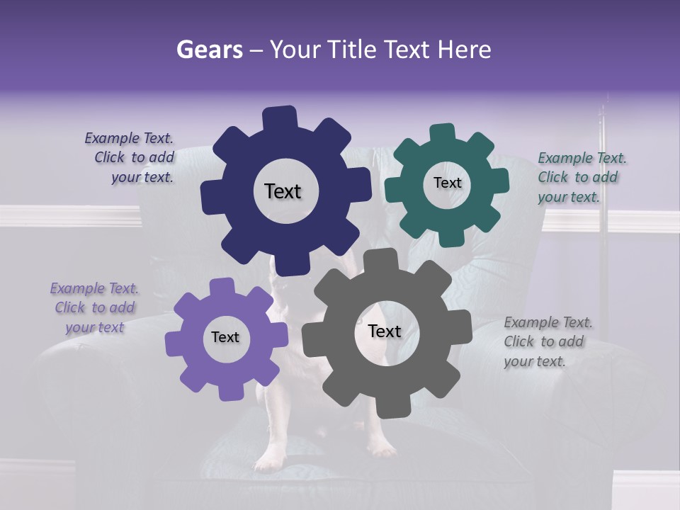 Dog Pug Pet PowerPoint Template