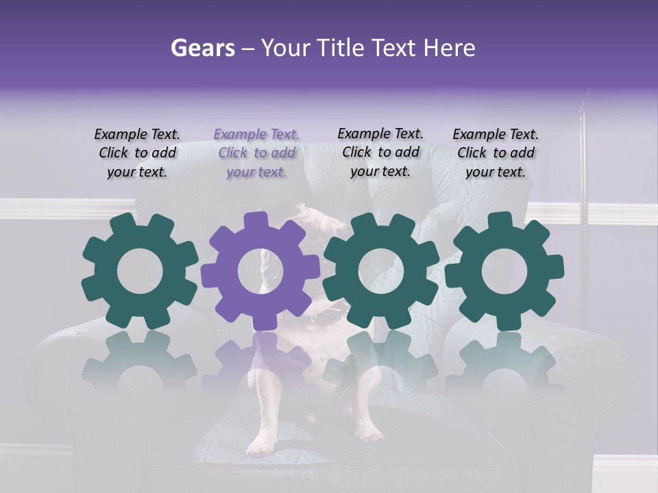 Dog Pug Pet PowerPoint Template