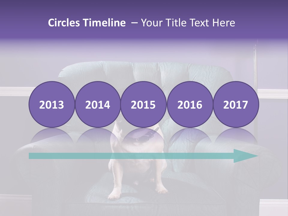 Dog Pug Pet PowerPoint Template