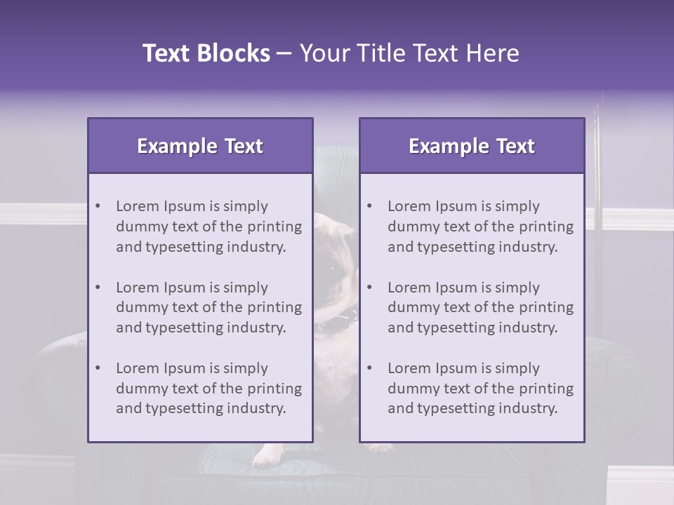 Dog Pug Pet PowerPoint Template