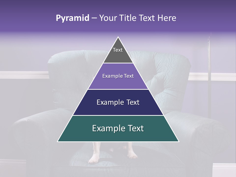 Dog Pug Pet PowerPoint Template