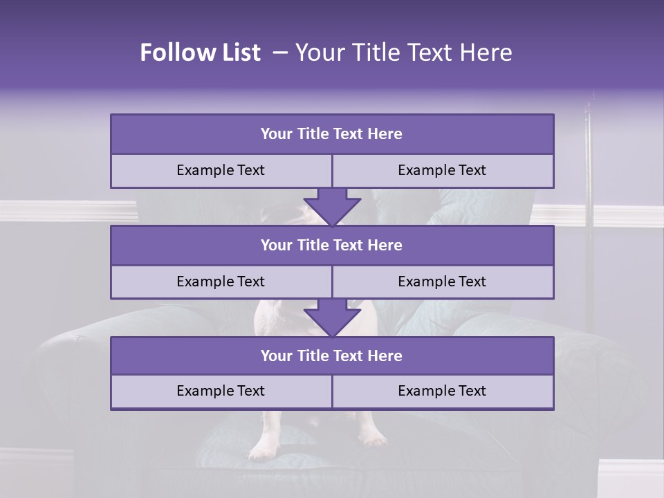 Dog Pug Pet PowerPoint Template