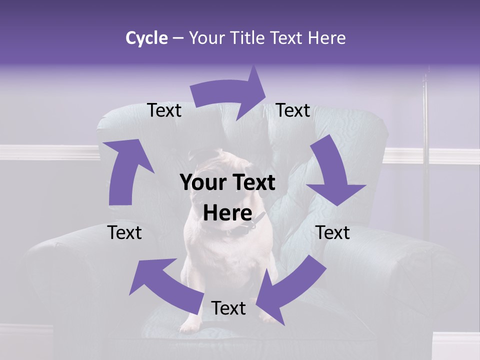 Dog Pug Pet PowerPoint Template