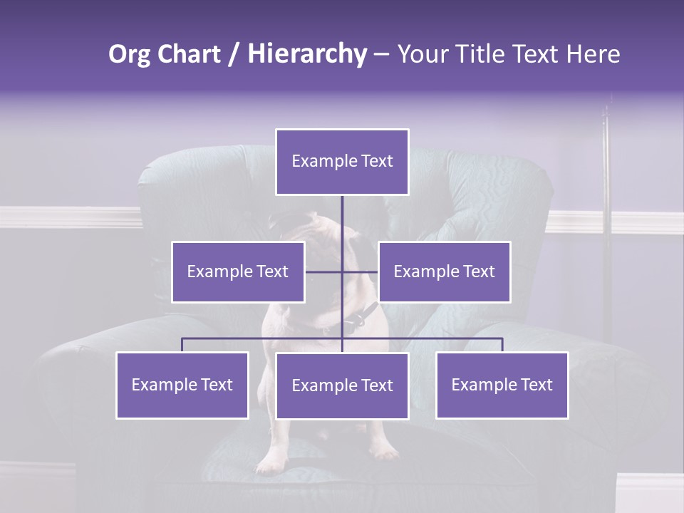 Dog Pug Pet PowerPoint Template