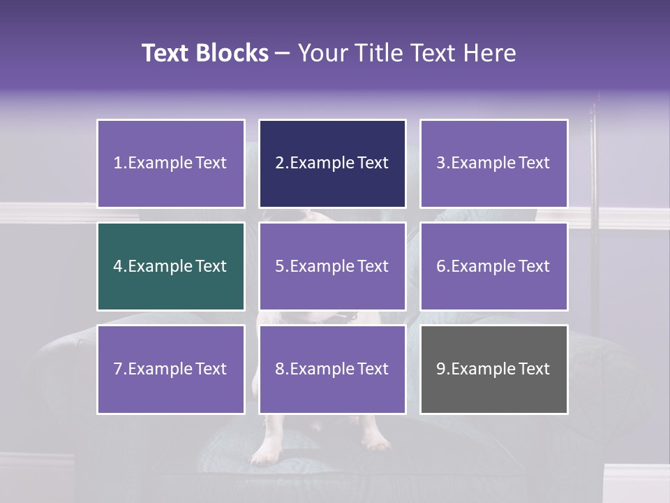 Dog Pug Pet PowerPoint Template