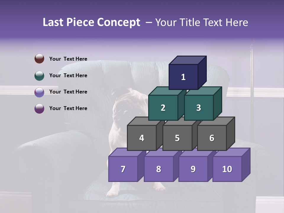 Dog Pug Pet PowerPoint Template