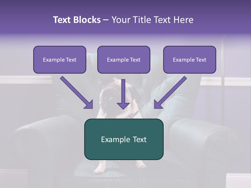 Dog Pug Pet PowerPoint Template
