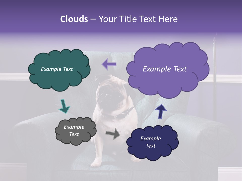 Dog Pug Pet PowerPoint Template