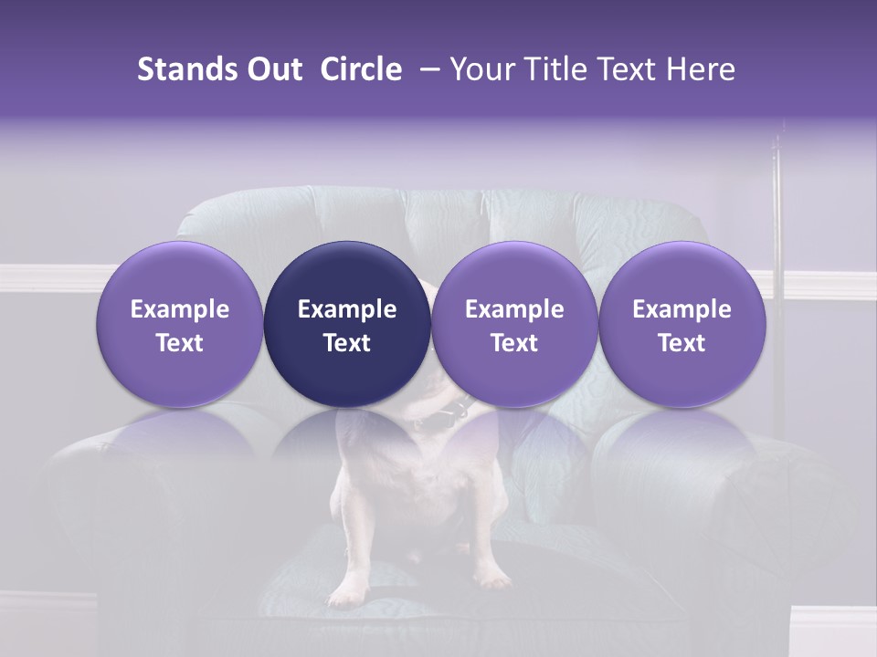 Dog Pug Pet PowerPoint Template