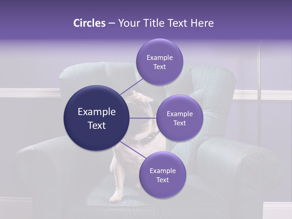 Dog Pug Pet PowerPoint Template