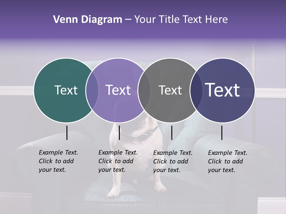 Dog Pug Pet PowerPoint Template