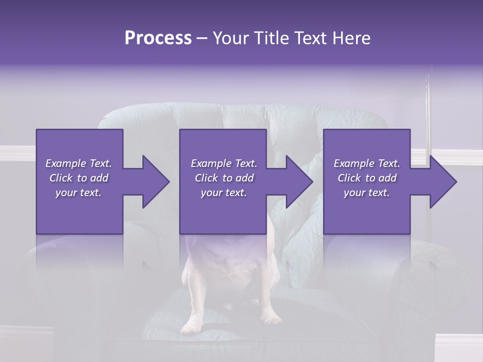 Dog Pug Pet PowerPoint Template