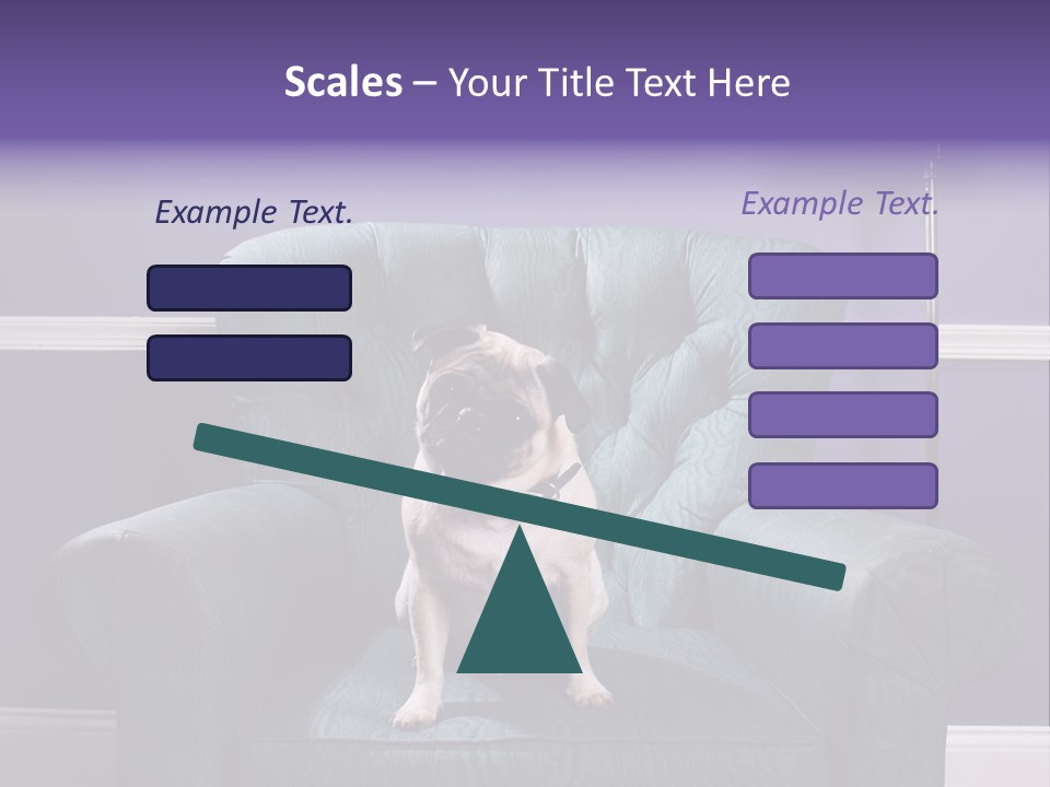 Dog Pug Pet PowerPoint Template