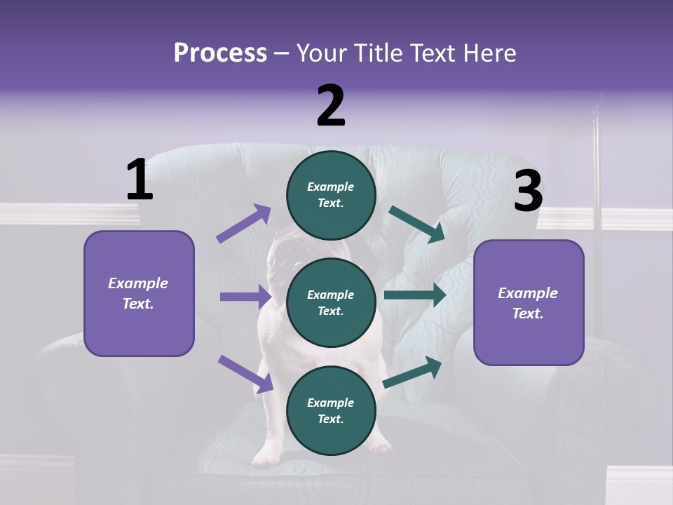 Dog Pug Pet PowerPoint Template