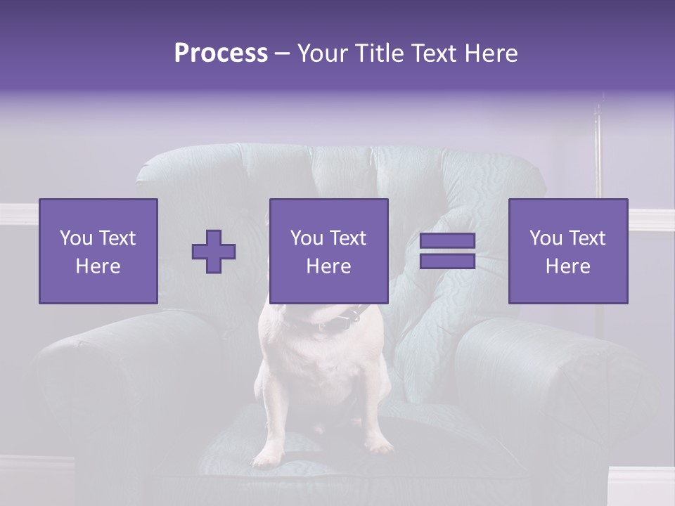 Dog Pug Pet PowerPoint Template