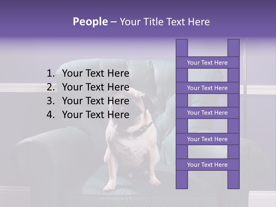 Dog Pug Pet PowerPoint Template