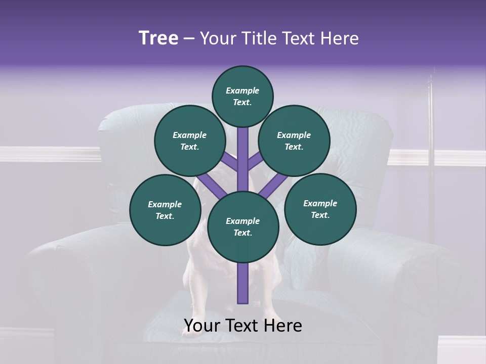 Dog Pug Pet PowerPoint Template