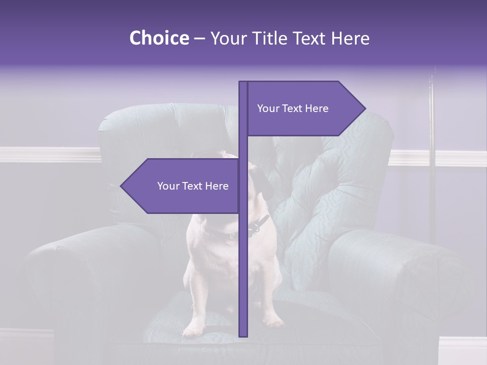 Dog Pug Pet PowerPoint Template