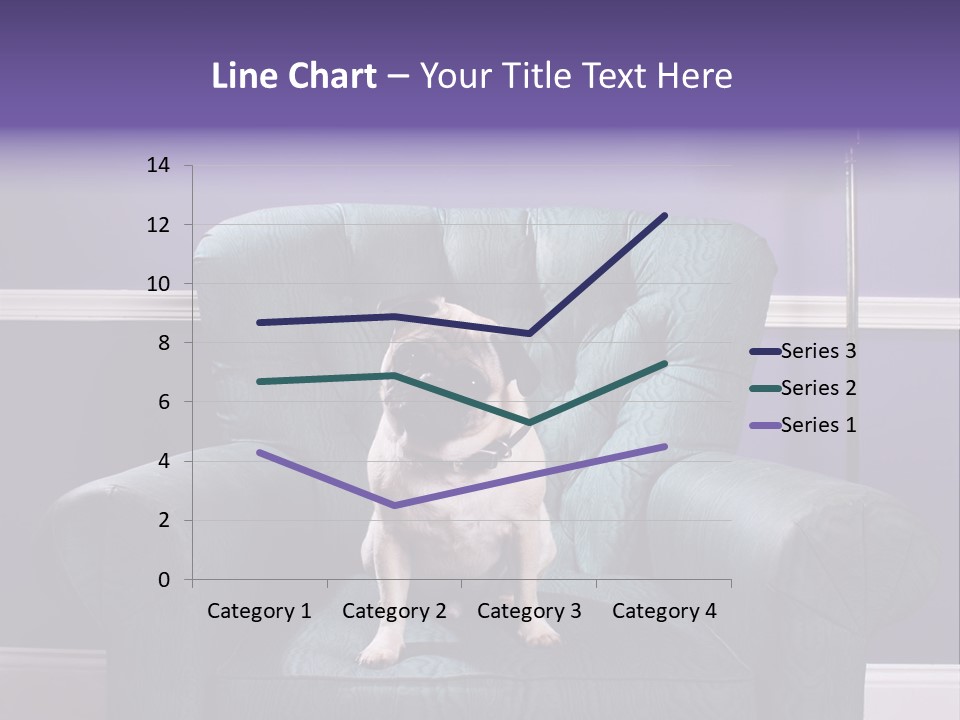 Dog Pug Pet PowerPoint Template