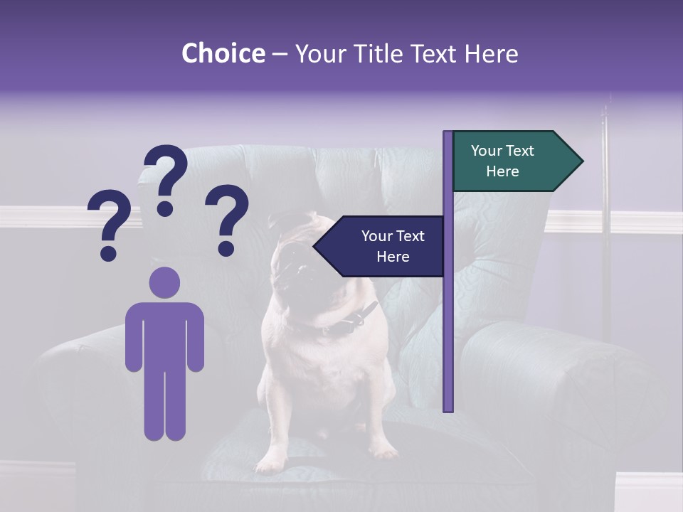 Dog Pug Pet PowerPoint Template