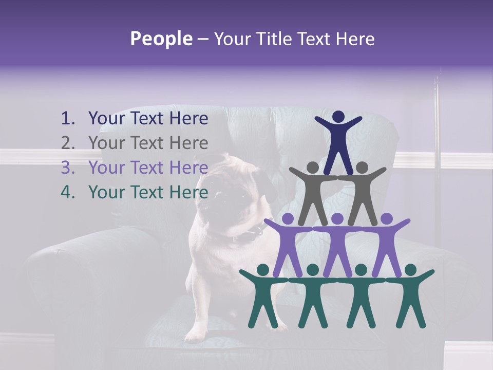 Dog Pug Pet PowerPoint Template