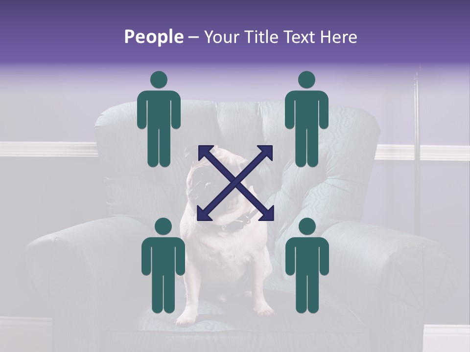 Dog Pug Pet PowerPoint Template