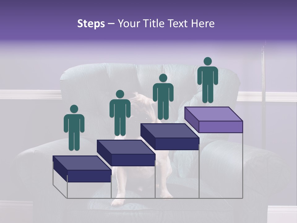 Dog Pug Pet PowerPoint Template