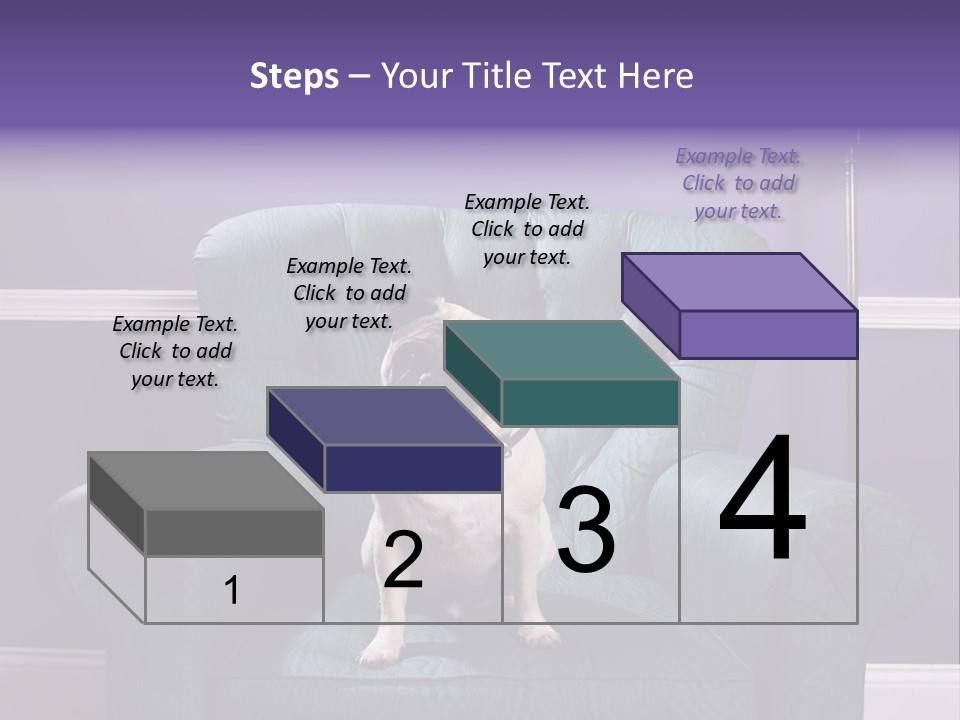 Dog Pug Pet PowerPoint Template