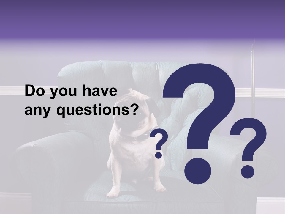 Dog Pug Pet PowerPoint Template