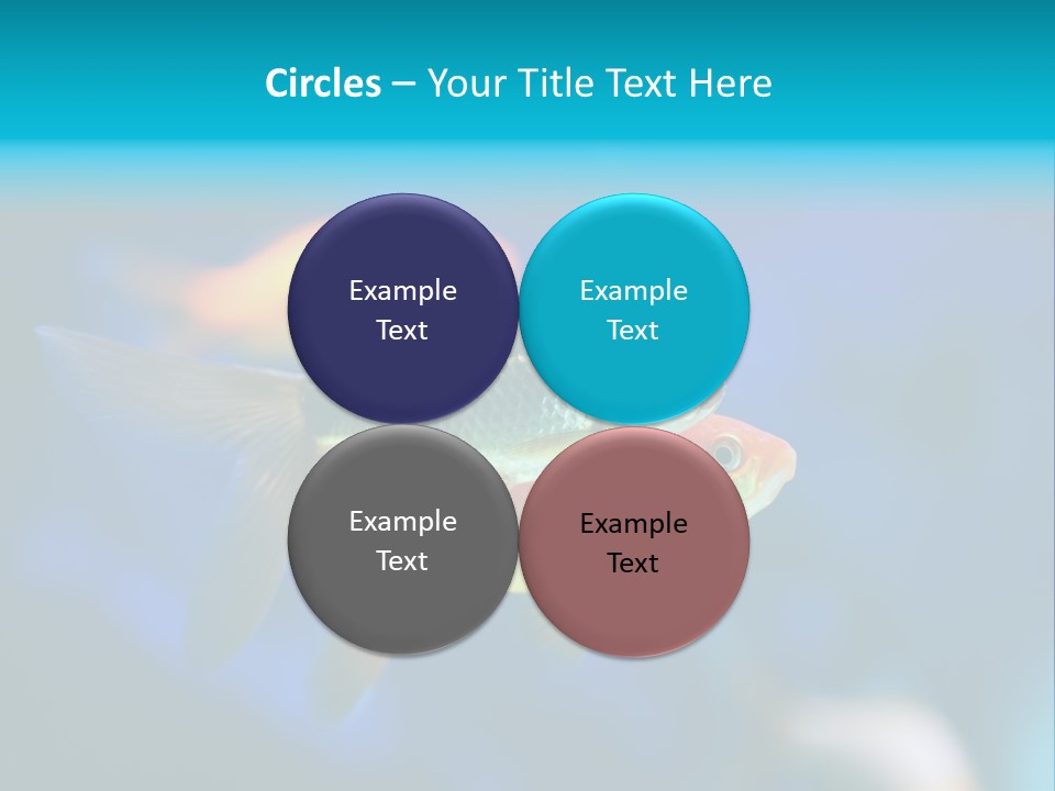 Plankton Algae Reef PowerPoint Template