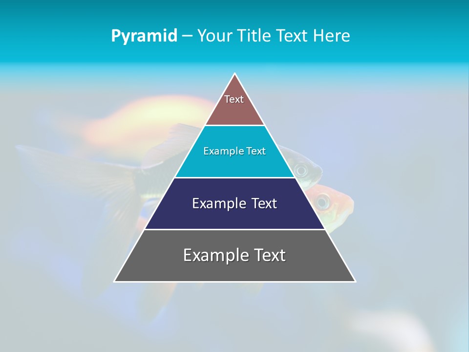 Plankton Algae Reef PowerPoint Template
