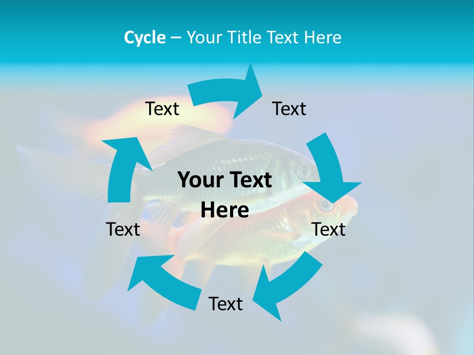 Plankton Algae Reef PowerPoint Template