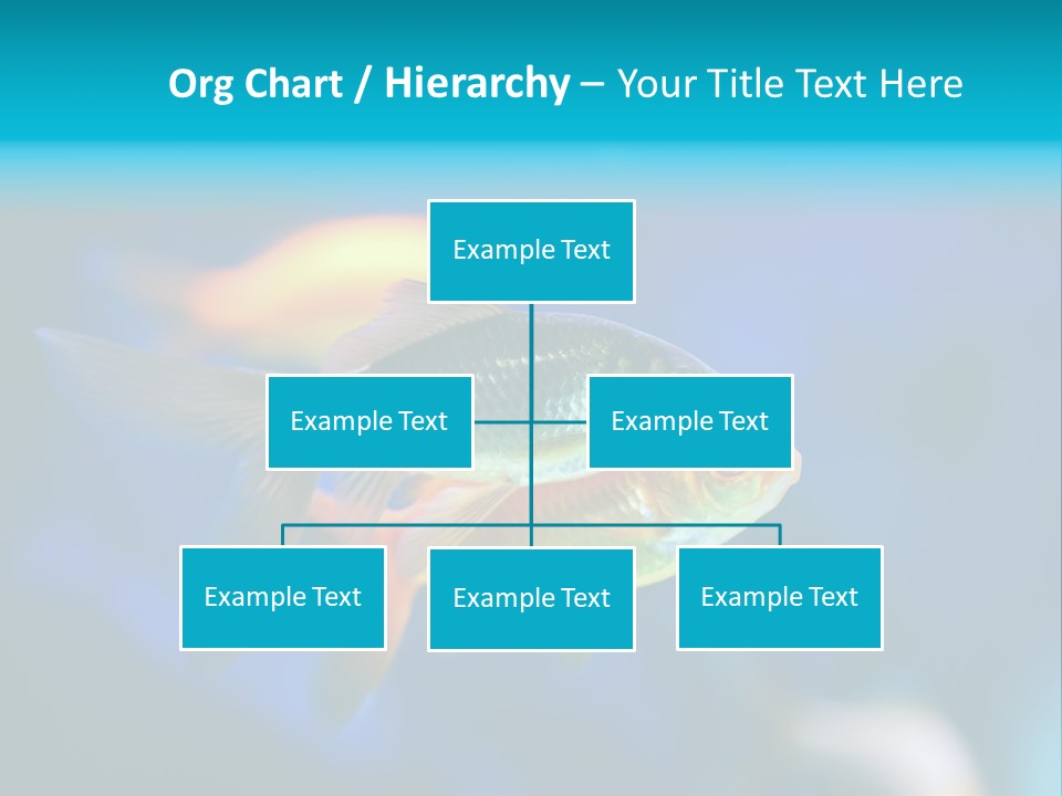 Plankton Algae Reef PowerPoint Template