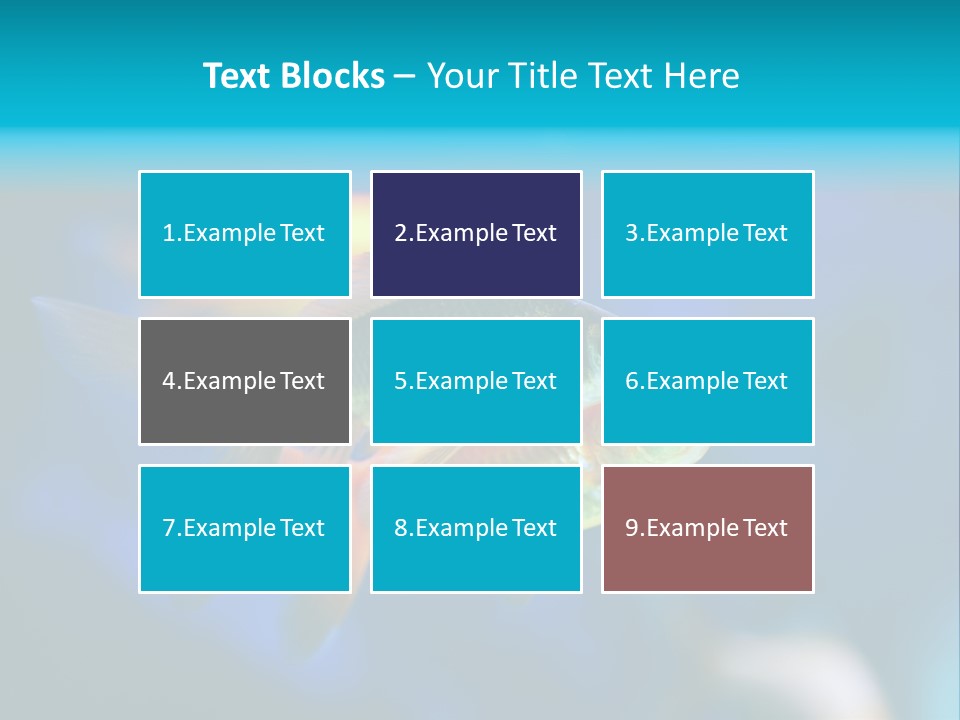 Plankton Algae Reef PowerPoint Template
