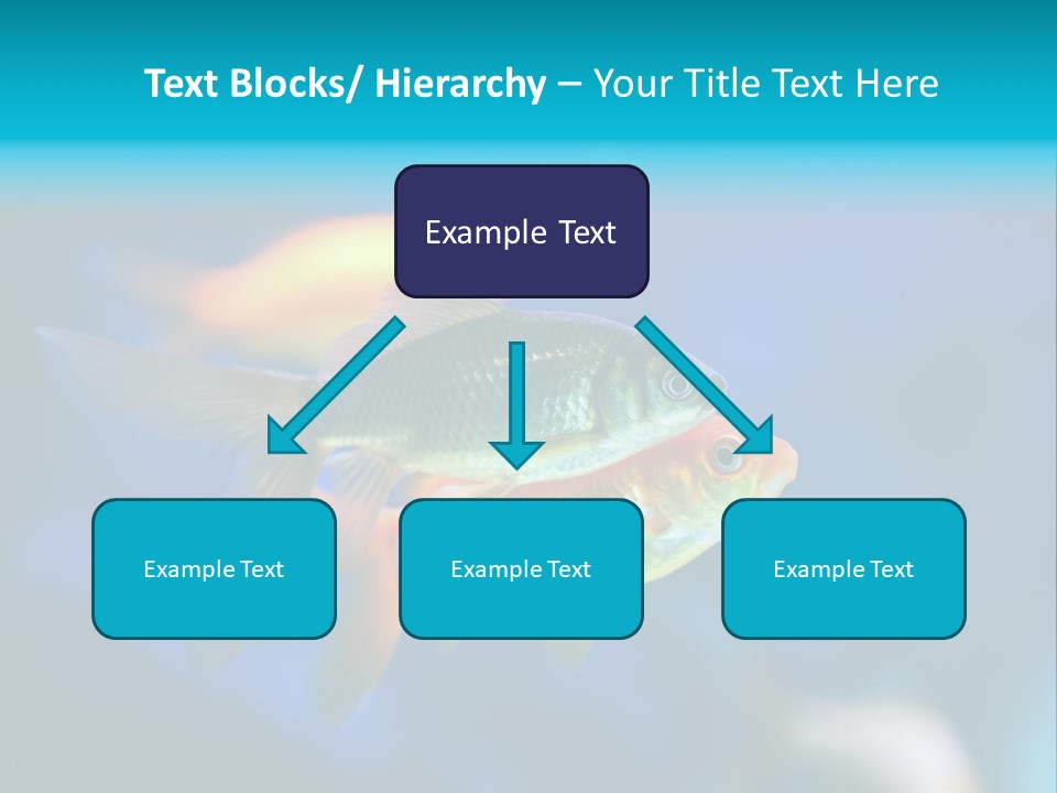 Plankton Algae Reef PowerPoint Template
