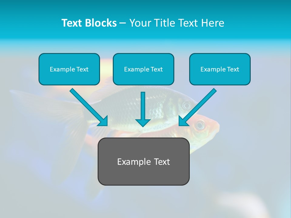 Plankton Algae Reef PowerPoint Template