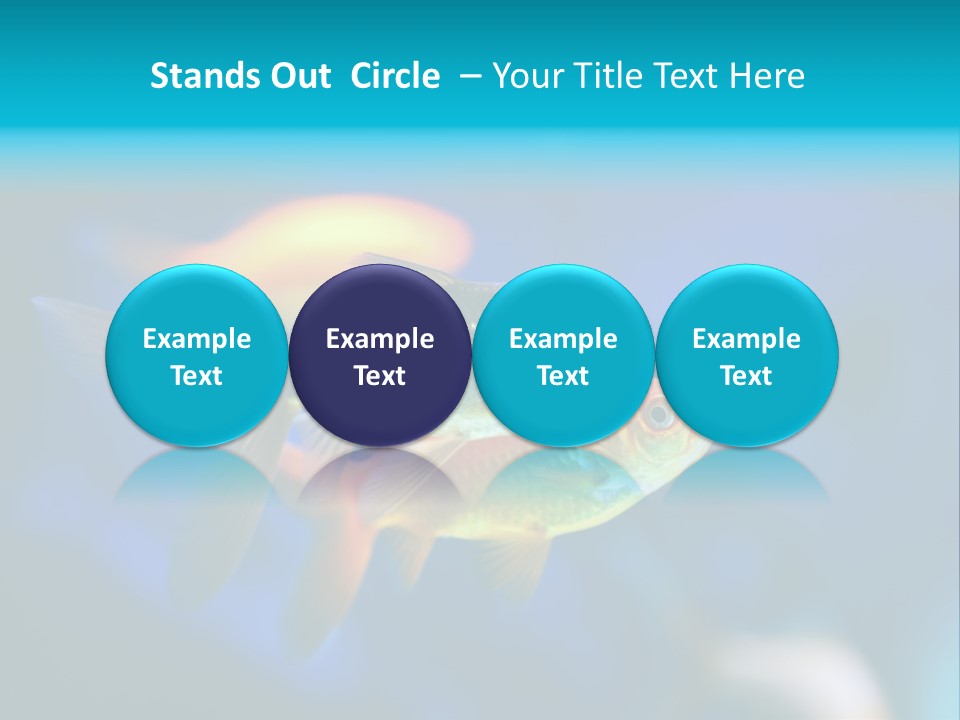 Plankton Algae Reef PowerPoint Template