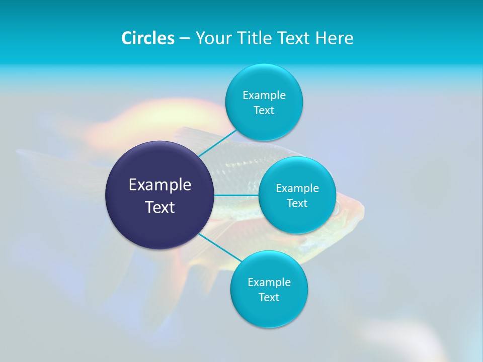 Plankton Algae Reef PowerPoint Template