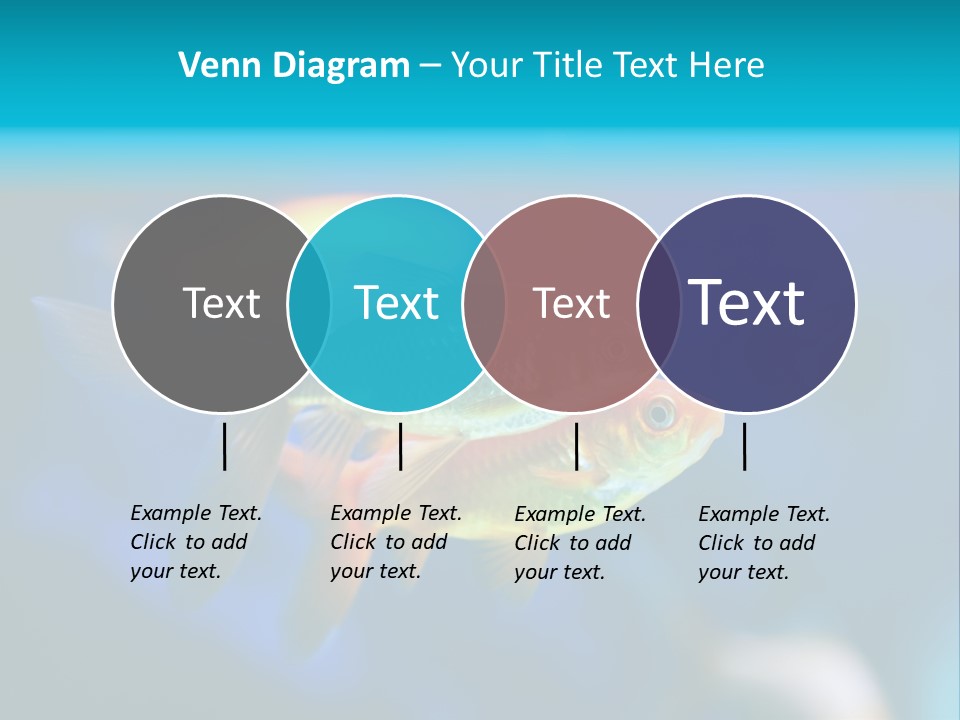 Plankton Algae Reef PowerPoint Template