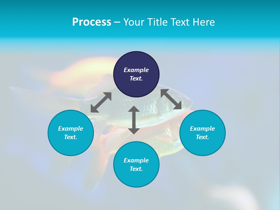 Plankton Algae Reef PowerPoint Template