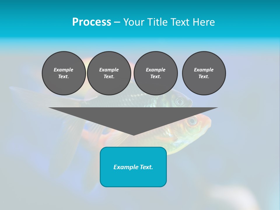 Plankton Algae Reef PowerPoint Template