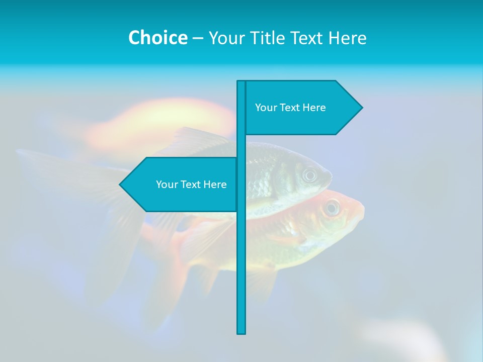 Plankton Algae Reef PowerPoint Template