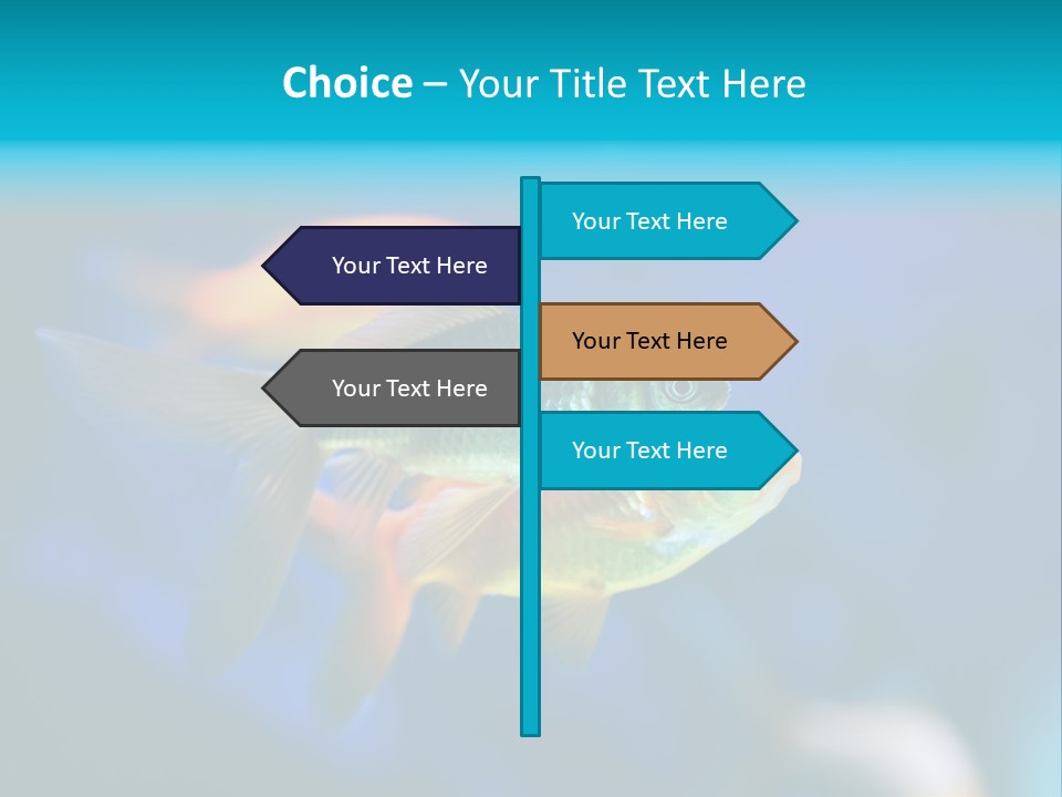 Plankton Algae Reef PowerPoint Template