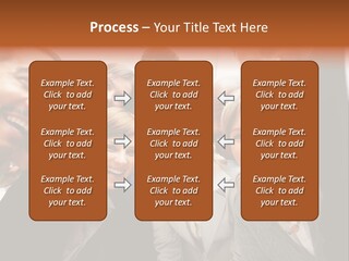 Grass Exterior Real PowerPoint Template