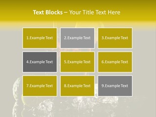 Restaurant Cool Mint PowerPoint Template