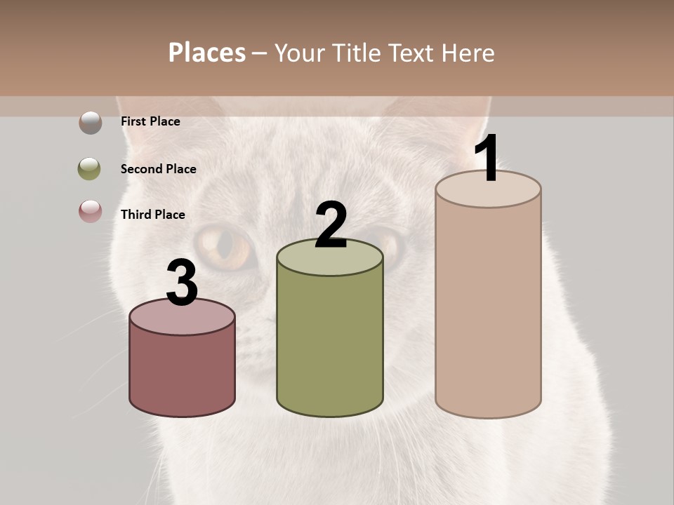 Humor Nobody Young PowerPoint Template