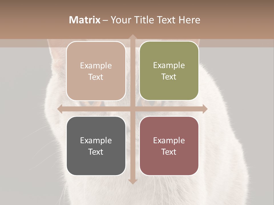 Humor Nobody Young PowerPoint Template