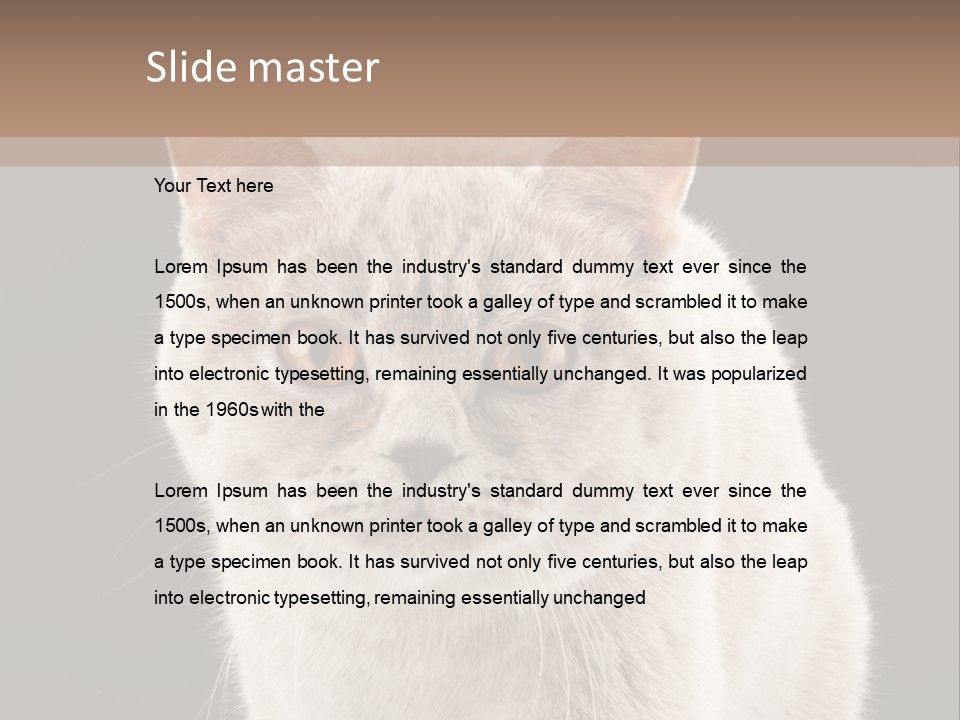 Humor Nobody Young PowerPoint Template