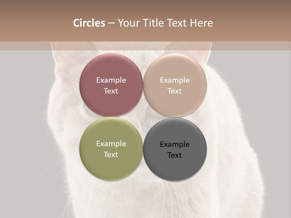 Humor Nobody Young PowerPoint Template